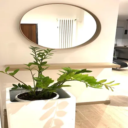 Apartment 8 *